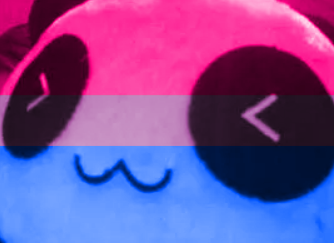 Felicis (bi flag)